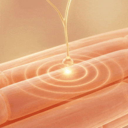 Activate & Reconnect