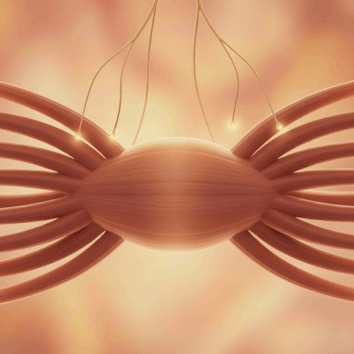 Strengthen With 30,000 Perfect Contractions